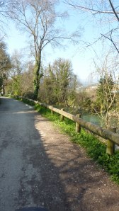 Les abords des rives du Loup.