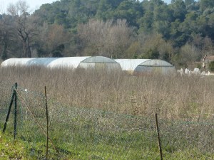 serres-domaine-agricole