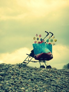 photographer Biscarotte RANK 393 Flickr Photos 