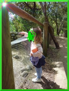 Regarde poupon les tortues!