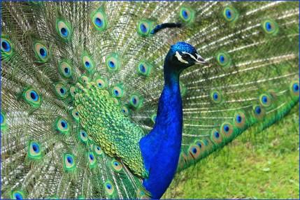 myri_bonnie sur Flick