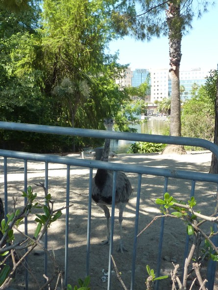 Les animaux du Parc.