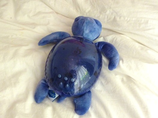 Tortue musicale son des vagues et des mouettes.