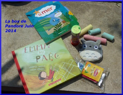 Box de Pandore de Puce juin 2014.