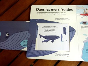 dans-les-mers-froides