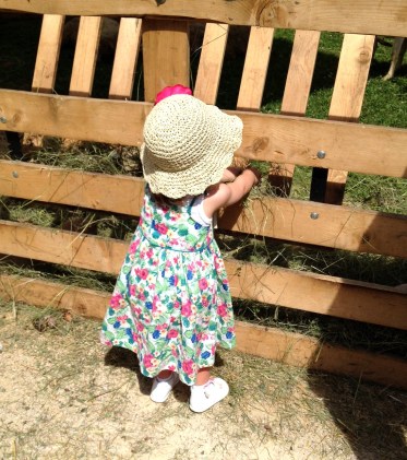 Puce et les biquettes.