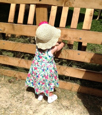 Puce et les biquettes.