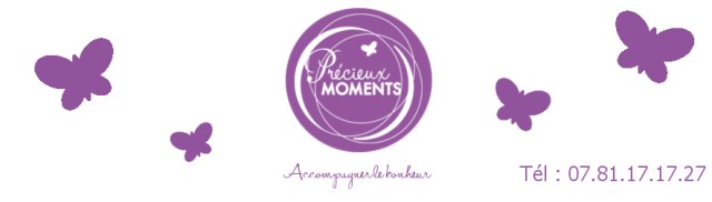 bandeau-papillons-site-web-tel