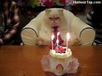 gif-joyeux-anniversaire-81
