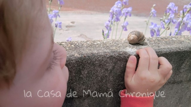 picsart_1430749107169