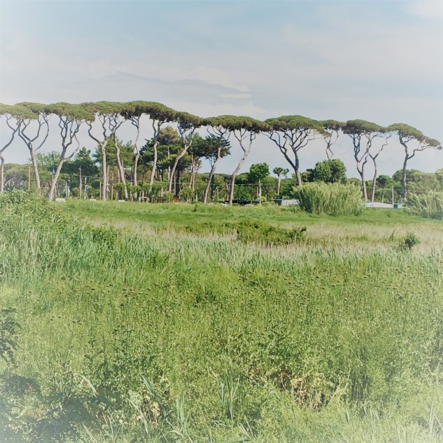 parkalbatros_toscane_sanvincenzo.JPG
