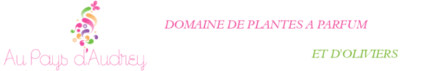 logo-Au-pays-d-Audrey.png