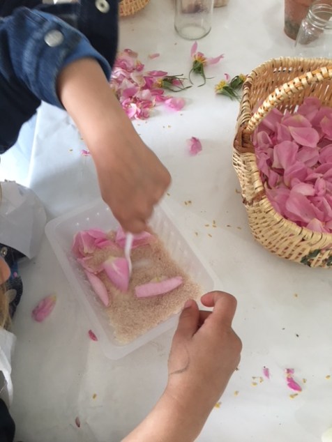 sucrealarose_fabrication_rosescristallisees