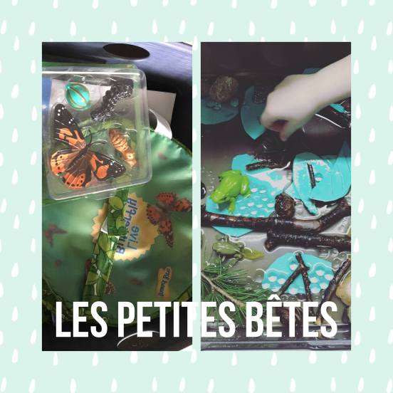 petitesbêtesjardn_projetenfants.jpg