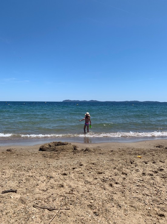 plagedessalins_rivieramum